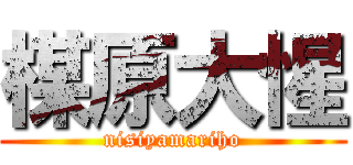 楳原大惺 (nisiyamariho)
