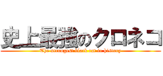 史上最強のクロネコ (The strongest black cat in history)