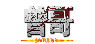曾哥 (zengge)