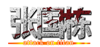 张国栋 (attack on titan)