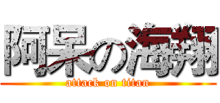 阿呆の海翔 (attack on titan)
