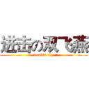 进击の双飞燕 (double fly)