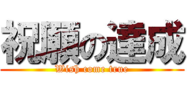 祝願の達成 (Wish come true)