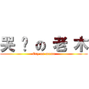 哭 跑 の 老 木 (Cry on mama)