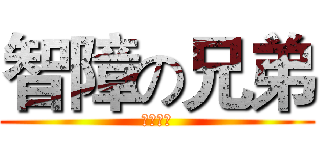 智障の兄弟 (白癡一家)