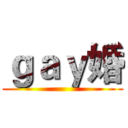 ｇａｙ婚 ()