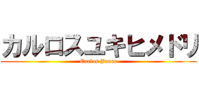 カルロスユキヒメドリ (Carlos Junco)