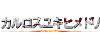 カルロスユキヒメドリ (Carlos Junco)