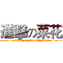 進擊の菜花 (attack on Cauliflower)