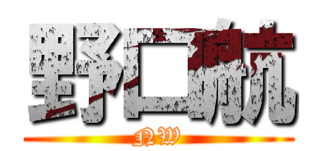 野口航 (NW)