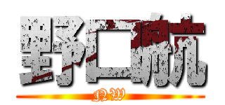 野口航 (NW)