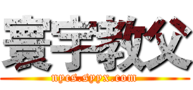 寰宇教父 (nycs.syyx.com)