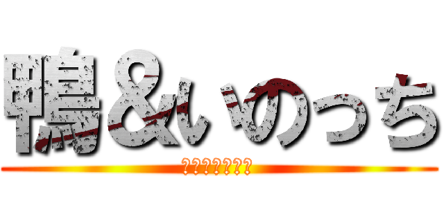 鴨＆いのっち (↑画像　↑音楽)