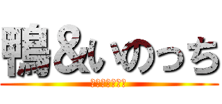 鴨＆いのっち (↑画像　↑音楽)