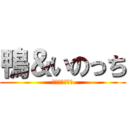 鴨＆いのっち (↑画像　↑音楽)