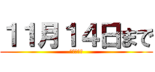 １１月１４日まで (投票受付中)