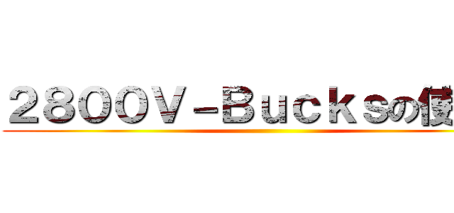２８００Ｖ－Ｂｕｃｋｓの使い道 ()