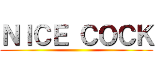 ＮＩＣＥ ＣＯＣＫ ()