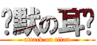 沉默の耳语 (attack on titan)