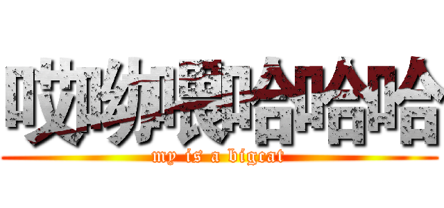 哎呦喂哈哈哈 (my is a bigcat)