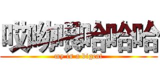 哎呦喂哈哈哈 (my is a bigcat)