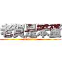 老賀是笨蛋 (It\'s true.)