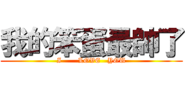 我的笨蛋最帥了 (I       LOVE   YOU)