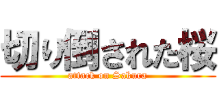 切り倒された桜 (attack on Sakura)