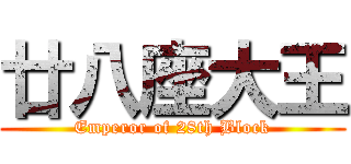 廿八座大王 (Emperor of 28th Block)