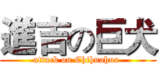 進吉の巨犬 (attack on Chihuahua )