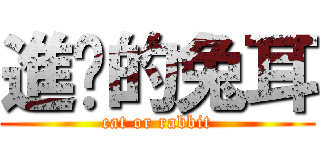 進擊的兔耳 (cat or rabbit)