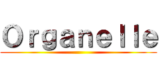 Ｏｒｇａｎｅｌｌｅ ()