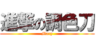 進撃の調色刀 (Mary)