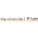 Ｎａｔｈａｎｉｅｌ Ｐｌｕｍｍｅｒ (the adventures of gay boi)