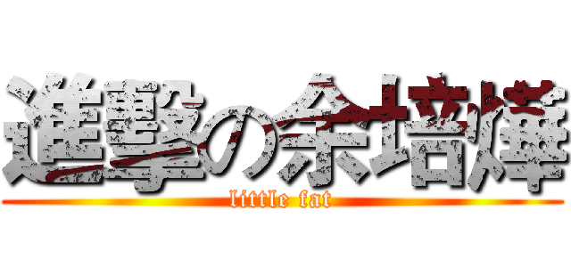 進擊の余培燁 (little fat)