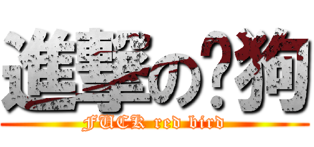 進撃の撸狗 (FUCK red bird)