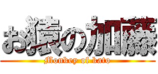 お猿の加藤 (Monkey of kato)