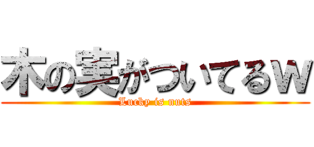 木の実がついてるｗ (Lucky is nuts)