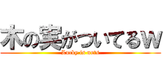 木の実がついてるｗ (Lucky is nuts)