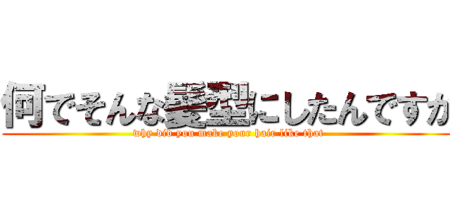 何でそんな髪型にしたんですか (why did you make your hair like that)