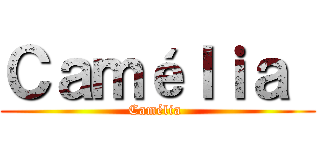 Ｃａｍéｌｉａ  (Camélia )