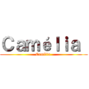 Ｃａｍéｌｉａ  (Camélia )