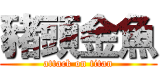 豬頭金魚 (attack on titan)