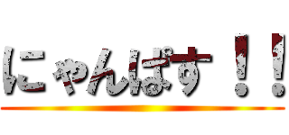 にゃんぱす！！ ()