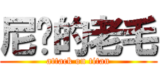 尼玛的老毛 (attack on titan)