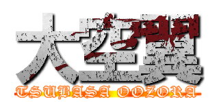 大空翼 (TSUBASA OOZORA)