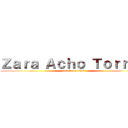 Ｚａｒａ Ａｃｈｏ Ｔｏｒｒｅｓ (attack on titan)