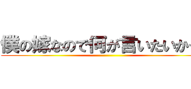 僕の嫁なので何が言いたいかって ()