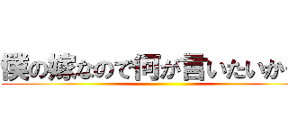 僕の嫁なので何が言いたいかって ()