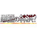 愚蠢の林洪锐 (attack on titan)